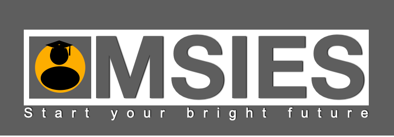 MSIES Logo