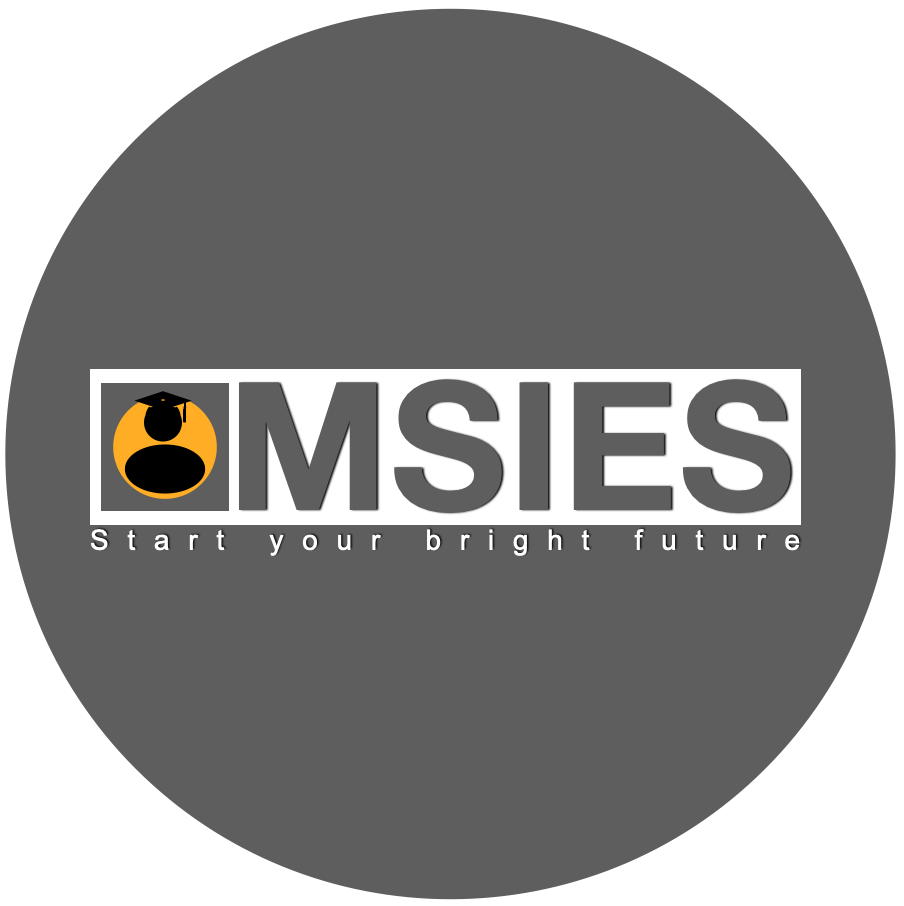 MSIES LOGO